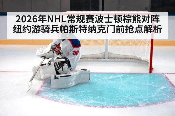 ice hockey goalie crease