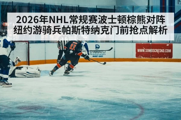 ice hockey rink action